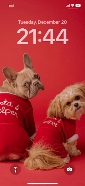 Dog wallpapers 4k 2.2.0 Screenshot