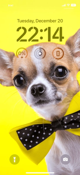 Dog wallpapers 4k 2.2.0 Screenshot