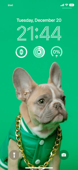 Dog wallpapers 4k 2.2.0 Screenshot