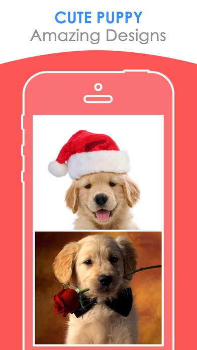 Dogs and Puppy Catalog - HD Cute Puppies background and wallpaper collection 4.2 Screenshot