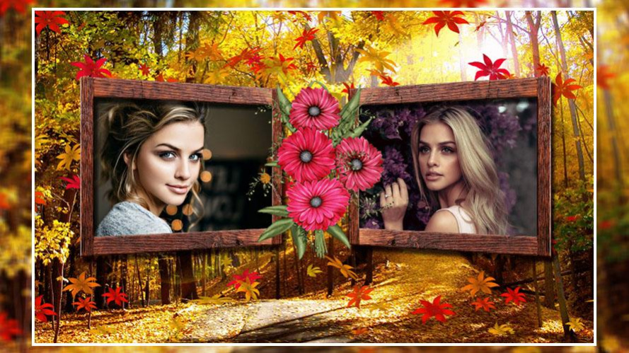 Dual Nature Photo Frame 1.1 Screenshot