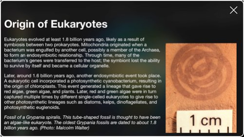 EarthViewer 2.1 Screenshot