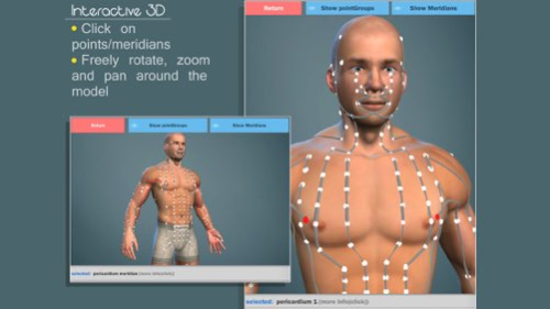 Easy Acupuncture 3D - LITE 5.0 Screenshot