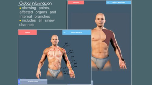 Easy Acupuncture 3D - LITE 5.0 Screenshot