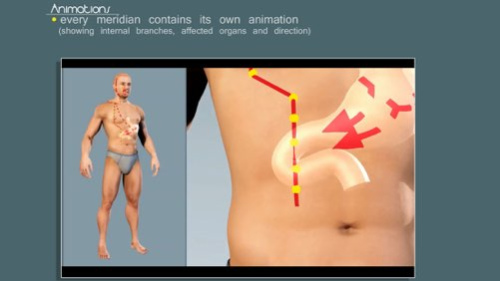 Easy Acupuncture 3D - LITE 5.0 Screenshot