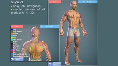 Easy Acupuncture 3D - LITE 5.0 Screenshot
