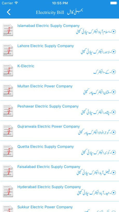 Electricity Bill 1.2 Screenshot