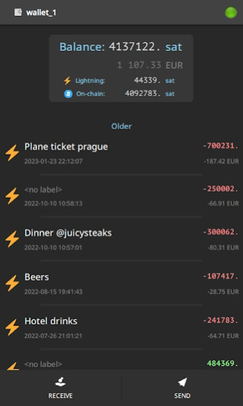 Electrum Bitcoin Wallet 4.8.2 Screenshot