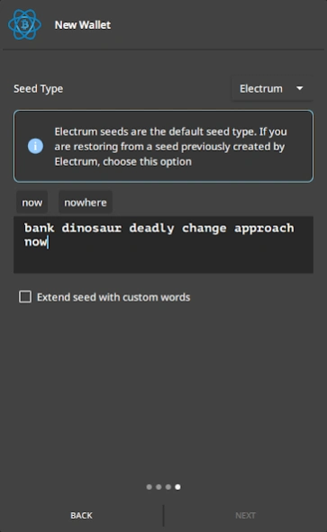 Electrum Bitcoin Wallet 4.8.2 Screenshot
