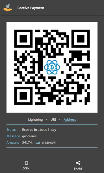 Electrum Bitcoin Wallet 4.8.2 Screenshot