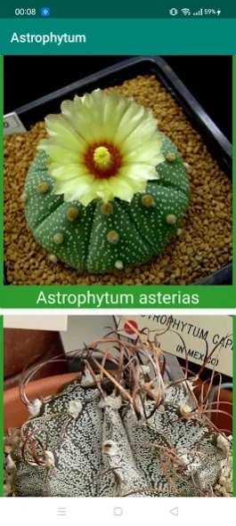 Encyclopedia of Cacti & Succul 9.3 Screenshot
