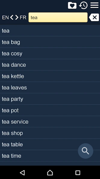 English French Dictionary 2.116 Screenshot