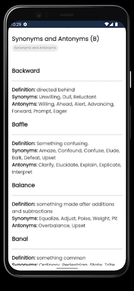 Synonyms and Antonyms  Screenshot