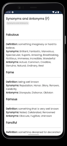 Synonyms and Antonyms  Screenshot