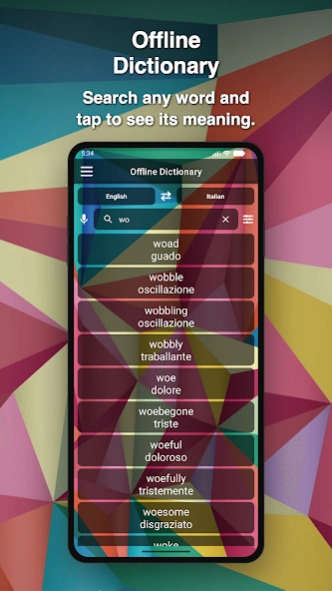Italian Dictionary Translator  Screenshot