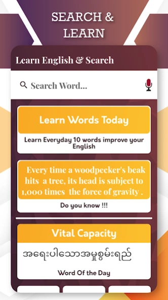 English to Myanmar Translator  Screenshot