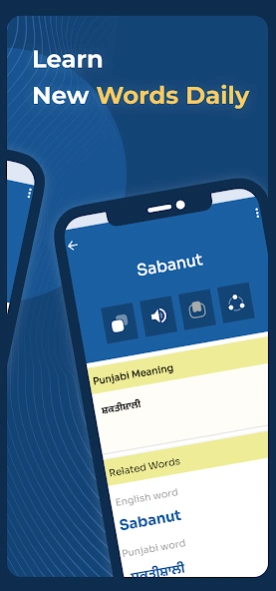 English to Punjabi Dictionary 2.3.6 Screenshot