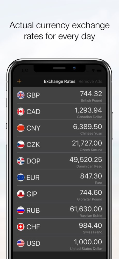 Exchange Rates Converter 1.6.6 Screenshot