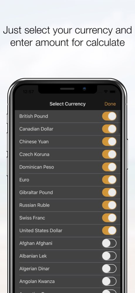 Exchange Rates Converter 1.6.6 Screenshot
