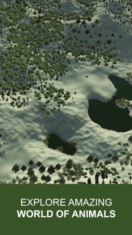 Explain 3D: Forest animals FREE  Screenshot