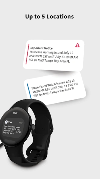FEMA 3.2.1 Screenshot