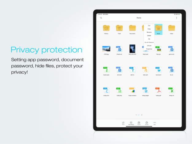 FileMaster-Privacy Protection 6.54 Captures 1