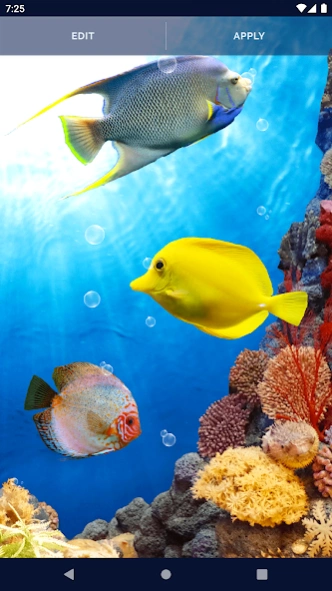 Fish Ocean Live Wallpaper 6.10.30 Screenshot