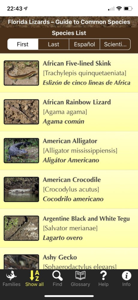 Florida Lizards 1.3 Screenshot