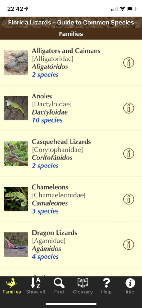 Florida Lizards 1.3 Screenshot