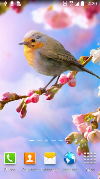Flower Live Wallpaper 1.1.12 Screenshot