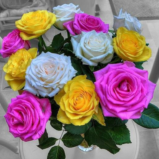 Flowers And Roses Animated Images Gif pictures 4K 3.6 Screenshot