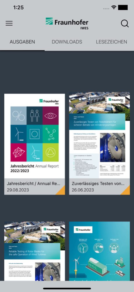 Fraunhofer IWES 5.2.0 Screenshot