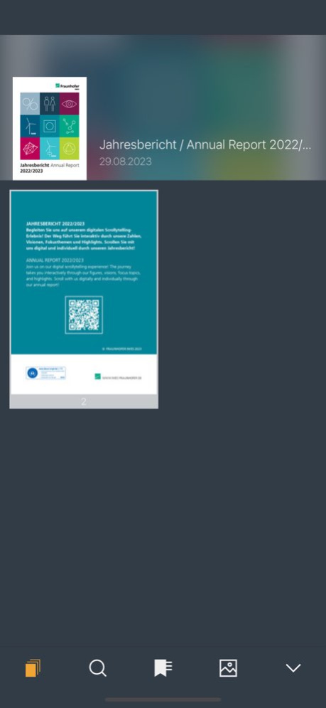 Fraunhofer IWES 5.2.0 Screenshot