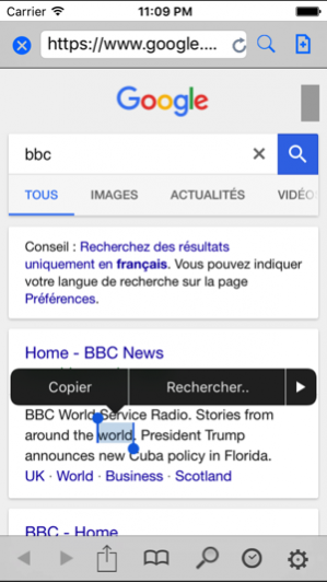 French Dictionaries 3.0 Screenshot
