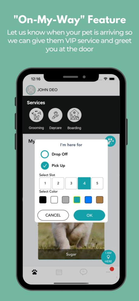 Fur's A Flyin' 2.9.52 Screenshot