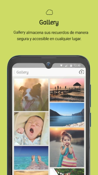 Gallery  Screenshot