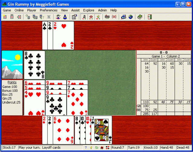 Gin Rummy by MeggieSoft Games 2008 Screenshot