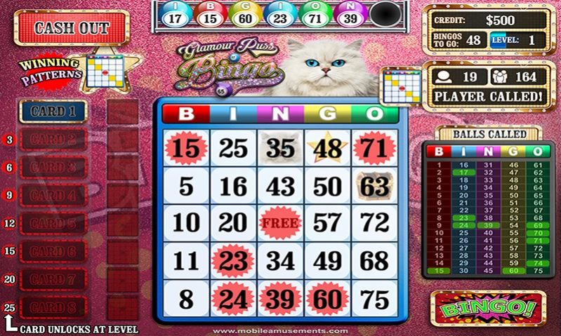 Glamour Puss Bingo  Screenshot