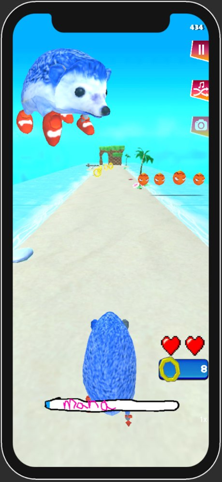 Go Sanic Goo! MLG 1.343 Screenshot