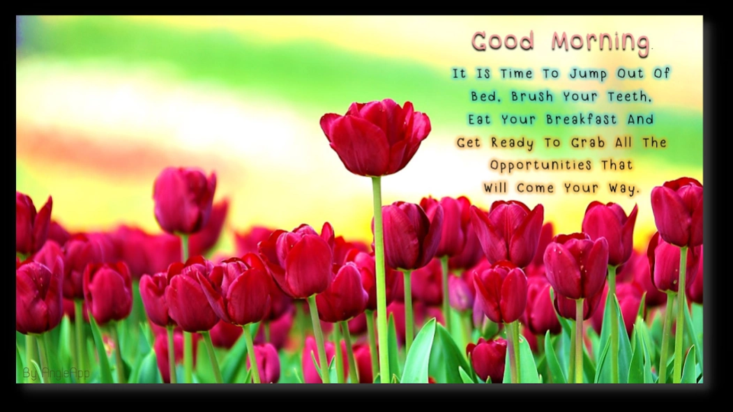 Good Morning Night flower wish 9.09.5.2 Screenshot