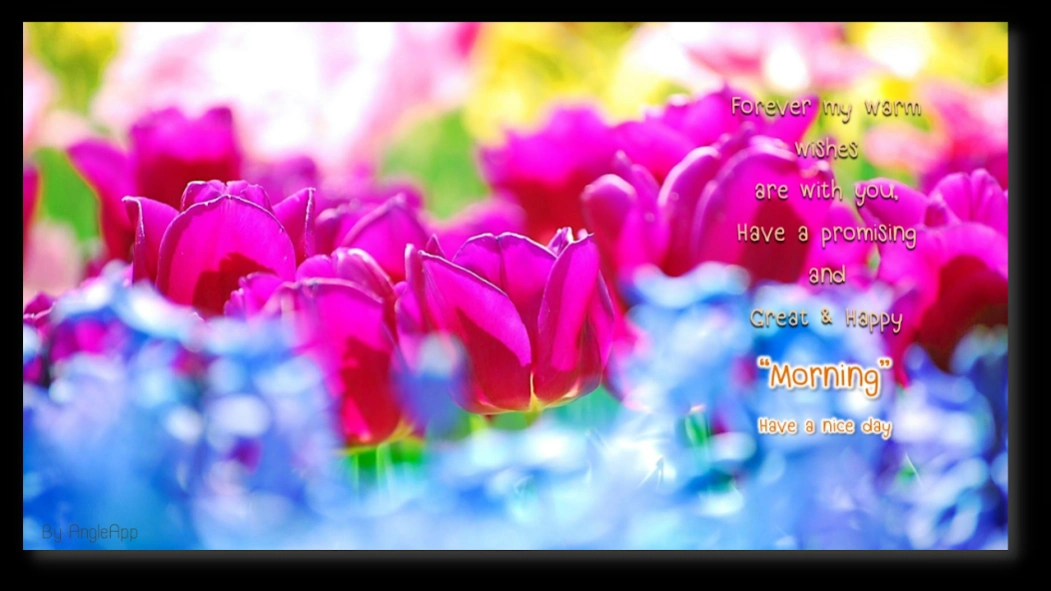 Good Morning Night flower wish 9.09.5.2 Screenshot