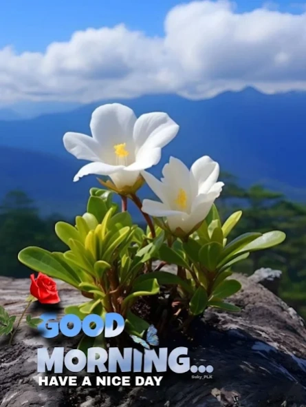 Good Morning romantique Images  Screenshot