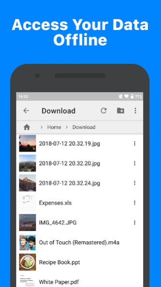 GoodSync 12.9.17.7 Screenshot