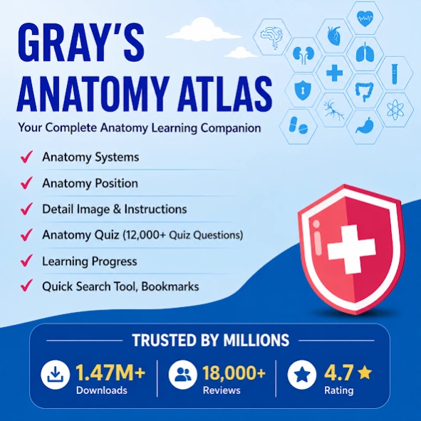 Gray's Anatomy - Anatomy Atlas 6.5.3 Screenshot