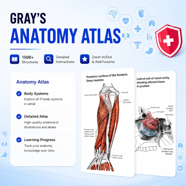 Gray's Anatomy - Anatomy Atlas 6.5.3 Screenshot