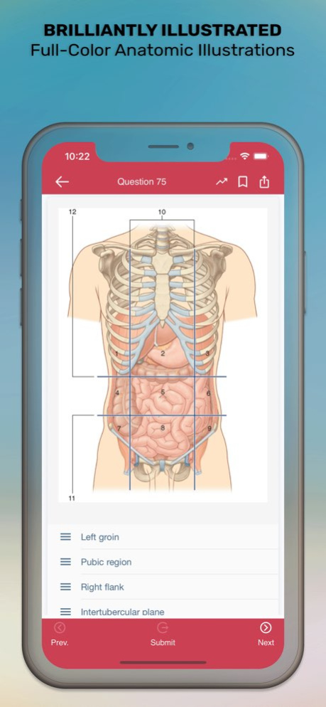 Gray's Anatomy Audio Hot Spots 8.4.8 Screenshot