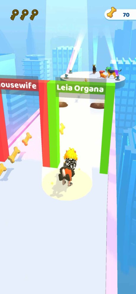Groomer run 3D 0.0.462 Screenshot
