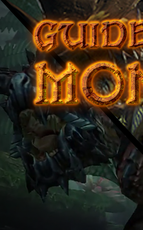 Guide MonsterHunter Generation 1.0 Display Captures 1