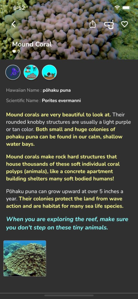 Hawaii SeaLife 1.5 Screenshot