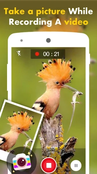 HD Panorama Camera 1.0 Screenshot